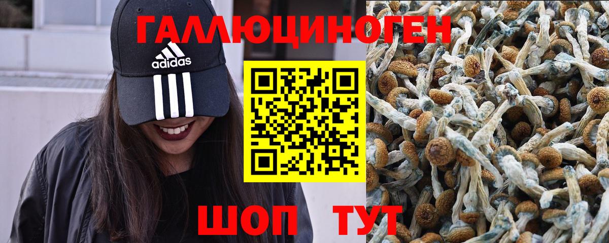 Псилоцибиновые грибы Psilocybe  Вход с VPN  Советская Гавань  Галлюциногенные грибы MAGIC MUSHROOMS 