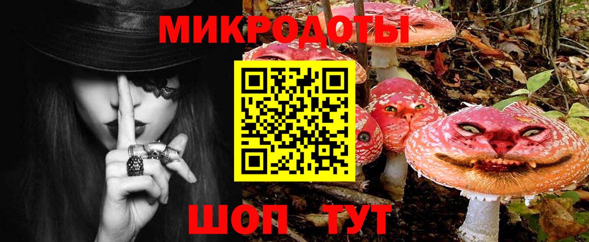 Псилоцибиновые грибы мицелий Советская Гавань